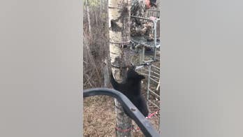 14-year-old hunter's encounter with bear cub goes viral