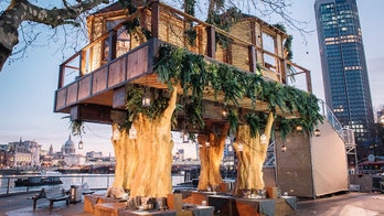 Why is there a treehouse in the middle of London?
