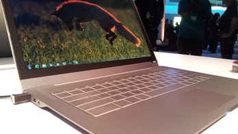 Judge's laptop ruling challenges the Constitution - and your privacy