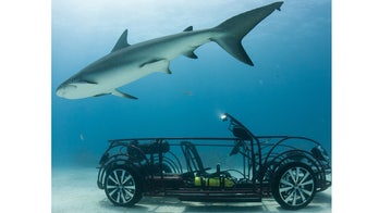Volkswagen builds the worst shark cage ever