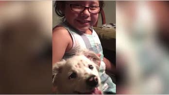 California girl born deaf teaching deaf puppy sign language