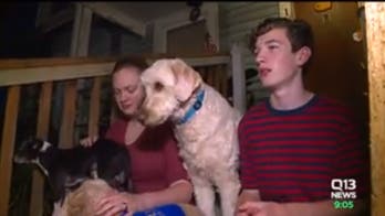 Washington woman, her dogs confront escaped prisoner who barged into home