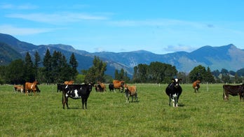 US applications for New Zealand citizenship jump 70 percent