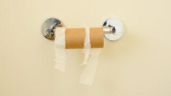 Ryanair flight to London takes off without toilet paper