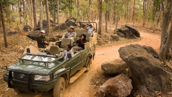 The best 'Jungle Book' themed vacations in India and beyond