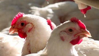 Perdue announces new farming programs to focus on animal welfare