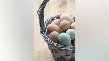 300 'Easter-egger' hens that lay pastel eggs stolen from California farm