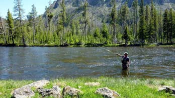 Awesome American summer vacations to book now