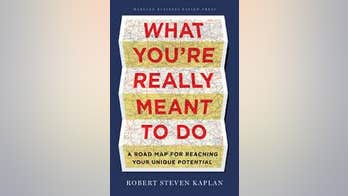 'What You're Really Meant to Do' by Robert Steven Kaplan