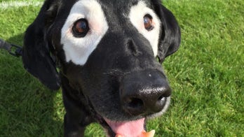 Boy with skin disorder finds best friend in dog with same condition