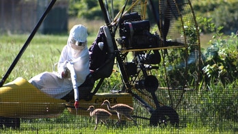 Birds of a feather: Whooping cranes need parents more like them