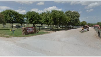 Wildlife park under scrutiny again after monkey loses body parts, lion cub dies