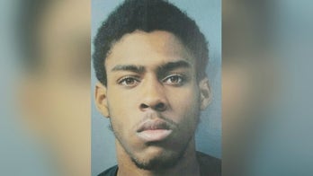 Suspect arrested in murder of Chicago-area security guard