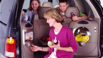 Oddest car features