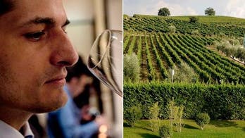 Vinous Media's virtual wine tours are the next best thing to being there
