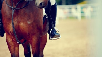 Horseback riding may relieve combat vets' PTSD symptoms