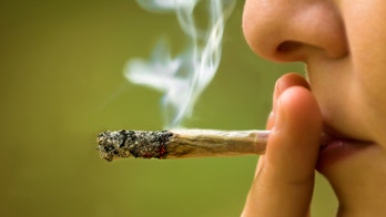 High-potency pot doubles risk of marijuana dependence