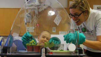 Sealed chamber brings wonders of nature to hospitalized kids