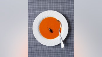 People reveal the most disgusting things they've ever found in their food