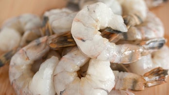 San Francisco biotech company develops lab-grown shrimp