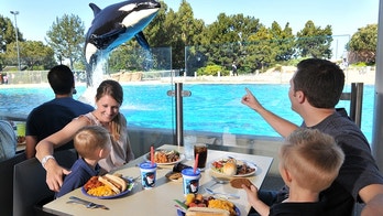 SeaWorld considers branded resort hotel in San Diego