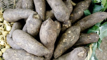 Can yacon syrup help you lose weight?