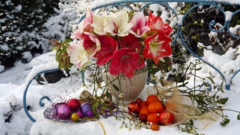 Selling Your Home This Winter? You Can Still Make Your Yard Pop