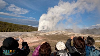 Yellowstone tourist ticketed for walking too close, appearing to urinate on Old Faithful