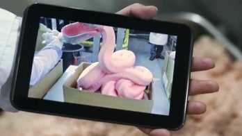 New video shows how McDonald’s McNuggets are really made