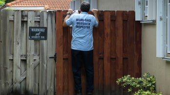 Health agencies say Miami Beach no longer Zika transmission zone