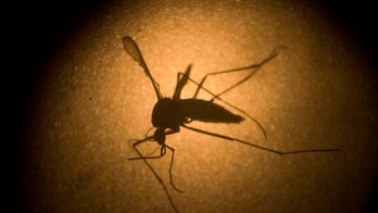 Aruba, Bonaire islands added to Zika travel alert
