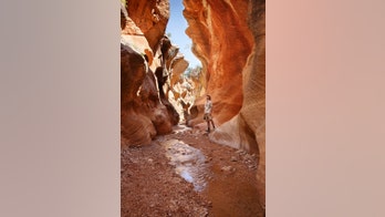 Zion National Park may start limiting tourists