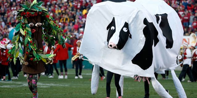 PASADENA, CA - JANUARY 01: The Stanford band performs at halftime of the the 102nd Rose Bowl Game between the Stanford Cardinal and the Iowa Hawkeyes on January 1, 2016 at the Rose Bowl in Pasadena, California. (Photo by Sean M. Haffey/Getty Images)