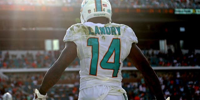 MIAMI GARDENS, FL - DECEMBER 27: Jarvis Landry #14 of the Miami Dolphins reacts to a catch during a game against the Indianapolis Colts at Sun Life Stadium on December 27, 2015 in Miami Gardens, Florida. (Photo by Mike Ehrmann/Getty Images)