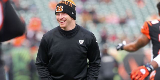 Jan 3, 2016; Cincinnati, OH, USA; Cincinnati Bengals quarterback Andy Dalton (14) looks on during warmups prior to the game against the Baltimore Ravens at Paul Brown Stadium. Mandatory Credit: Aaron Doster-USA TODAY Sports