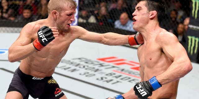 BOSTON, MA - JANUARY 17: (L-R) TJ Dillashaw punches Dominick Cruz in their UFC bantamweight championship bout during the UFC Fight Night event inside TD Garden on January 17, 2016 in Boston, Massachusetts. (Photo by Jeff Bottari/Zuffa LLC/Zuffa LLC via Getty Images)