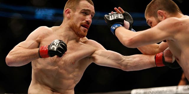 TORONTO, CANADA - SEPTEMBER 21: (L-R) Pat Healy punches Khabib Nurmagomedov in their UFC lightweight bout at the Air Canada Center on September 21, 2013 in Toronto, Ontario, Canada. (Photo by Josh Hedges/Zuffa LLC/Zuffa LLC via Getty Images)