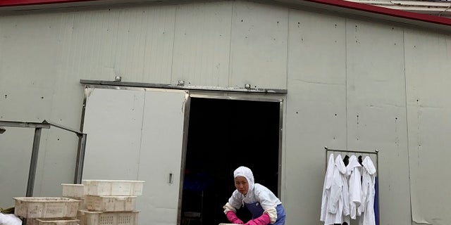 A worker stacks crates at the Yanbian Shenghai Industry & Trade Co. Ltd., which hires some North Korean workers to process seafood in the city of Hunchun in northeastern China.