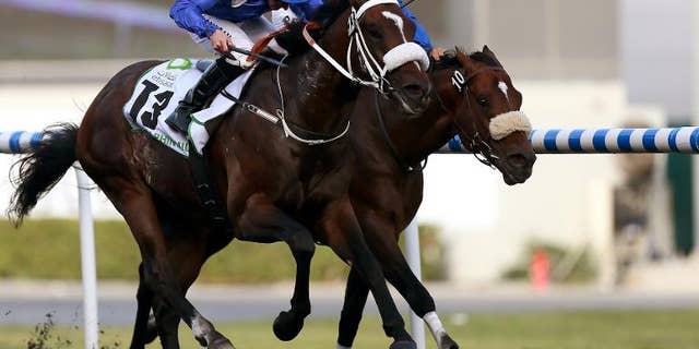 Jockey Paul Hanagan leads Soft Falling Rain owned by Dubai Crown Prince Sheikh Hamad Bin Rashid al-Maktoum to win the Godolphin Mile in the Dubai World Cup meet on March 30, 2013