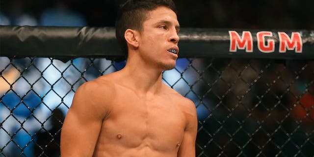 LAS VEGAS, NV - MAY 23: Joseph Benavidez awaits the start of round two in his flyweight bout during the UFC 187 event at the MGM Grand Garden Arena on May 23, 2015 in Las Vegas, Nevada. (Photo by Christian Petersen/Zuffa LLC/Zuffa LLC via Getty Images)