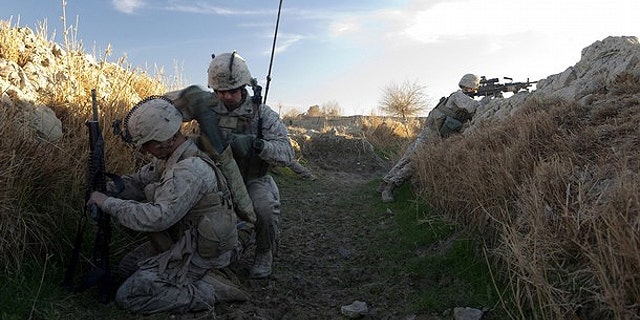 Feb. 8: U.S. Marines from 1st Battalion, 8th Marines, Bravo company patrol around Mirage patrol base, Musa Qala District, in Afghanistan's Helmand province.