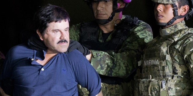 Joaquin "El Chapo" Guzmán was transferred to the United States in January 2017 and pleaded not guilty to charges that he oversaw the Sinaloa drug cartel.