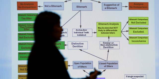 Feb. 11, 2016: Lynn Garcia uses a chart as she takes part in a Texas Forensic Science Commission meeting to consider recommendations against using bite mark analysis in criminal cases/