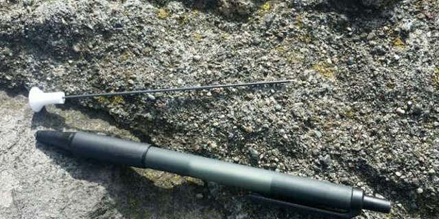Photo shows a blow dart that struck a pedestrian walking on the Golden Gate Bridge.