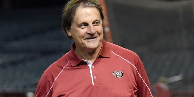 PHOENIX, AZ - JULY 22: Chief Baseball Officer Tony LaRussa of the Arizona Diamondbacks watches batting practice prior to a game between the Arizona Diamondbacks and the Detroit Tigers at Chase Field on July 22, 2014 in Phoenix, Arizona. (Photo by Norm Hall/Getty Images)