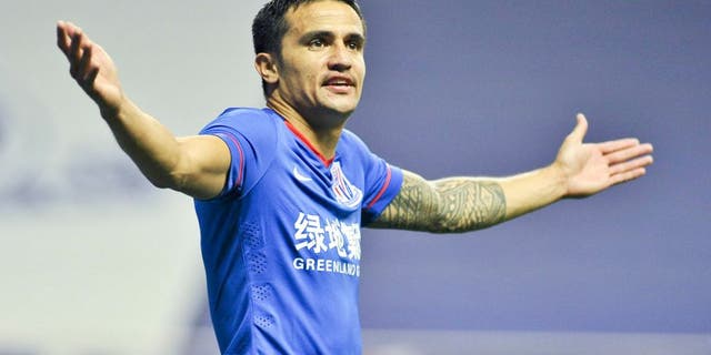SHANGHAI, CHINA - APRIL 25: (CHINA OUT) Tim Cahill of Shanghai Greenland Shenhua celebrates a point during the Chinese Football Association Super League between Shanghai Greenland Shenhua and Hangzhou Green City at Hongkou Football Stadium on April 25, 2015 in Shanghai, China. (Photo by ChinaFotoPress/ChinaFotoPress via Getty Images)