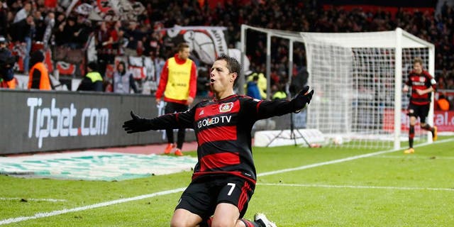 LEVERKUSEN, GERMANY - JANUARY 30: Javier Hernandez Chicharito of Leverkusen celebrates scoring the 3:0 during the Bundesliga match between Bayer Leverkusen and Hannover 96 at BayArena on January 30, 2016 in Leverkusen, Germany. (Photo by Mika Volkmann/Bongarts/Getty Images)