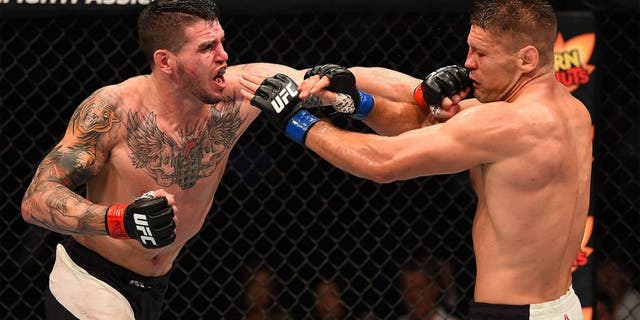 NASHVILLE, TN - AUGUST 08: (L-R) Chris Camozzi punches Tom Watson of England in their middleweight bout during the UFC Fight Night event at Bridgestone Arena on August 8, 2015 in Nashville, Tennessee. (Photo by Josh Hedges/Zuffa LLC/Zuffa LLC via Getty Images)