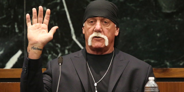 Hulk Hogan, whose real name is Terry Bollea, is reportedly being courted to run for U.S. Senate in Florida.