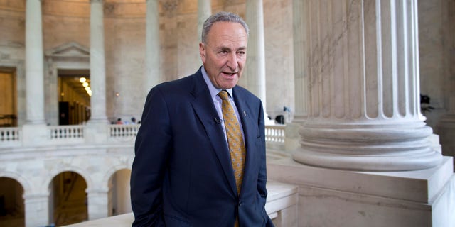 FILE: April 8, 2014: Sen. Chuck Schumer, D-N.Y., talks during a television news interview on Capitol Hill in Washington, D.C.